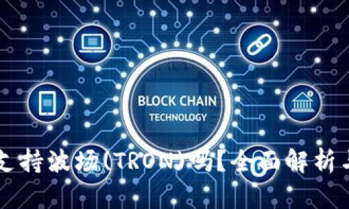 tpWallet支持波场(TRON)吗？全面解析与使用指南