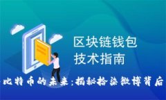探索区块链与比特币的未来：揭秘拾柒微博背后