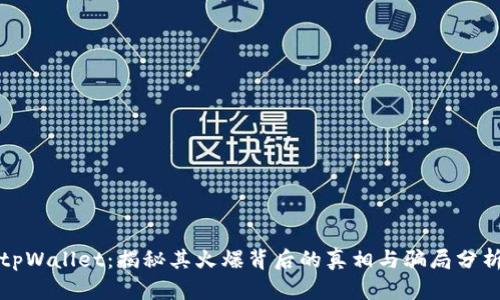tpWallet：揭秘其火爆背后的真相与骗局分析