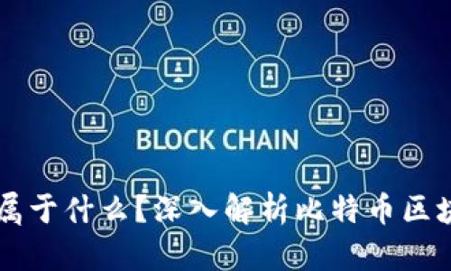 比特币的区块链属于什么？深入解析比特币区块链的特点与应用