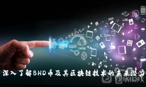 深入了解BHD币及其区块链技术的未来潜力