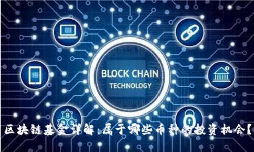区块链基金详解：属于哪些币种的投资机会？