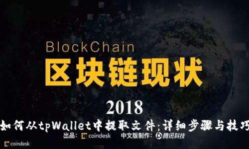 如何从tpWallet中提取文件：详细步骤与技巧