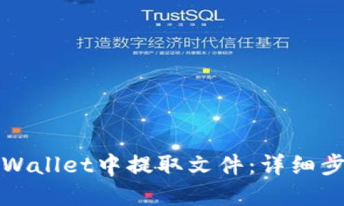 如何从tpWallet中提取文件：详细步骤与技巧