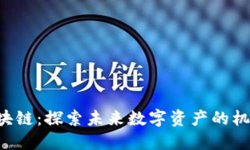 FTO币区块链：探索未来数字资产的机遇与挑战