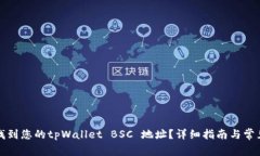如何找到您的tpWallet BSC 地址？详细指南与常见问